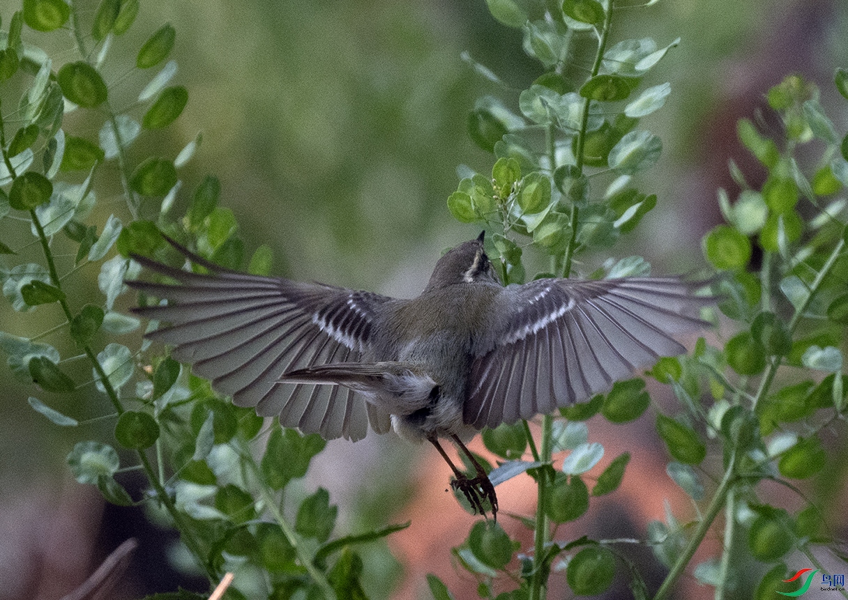 250506-1216-P5062850 ����.jpg