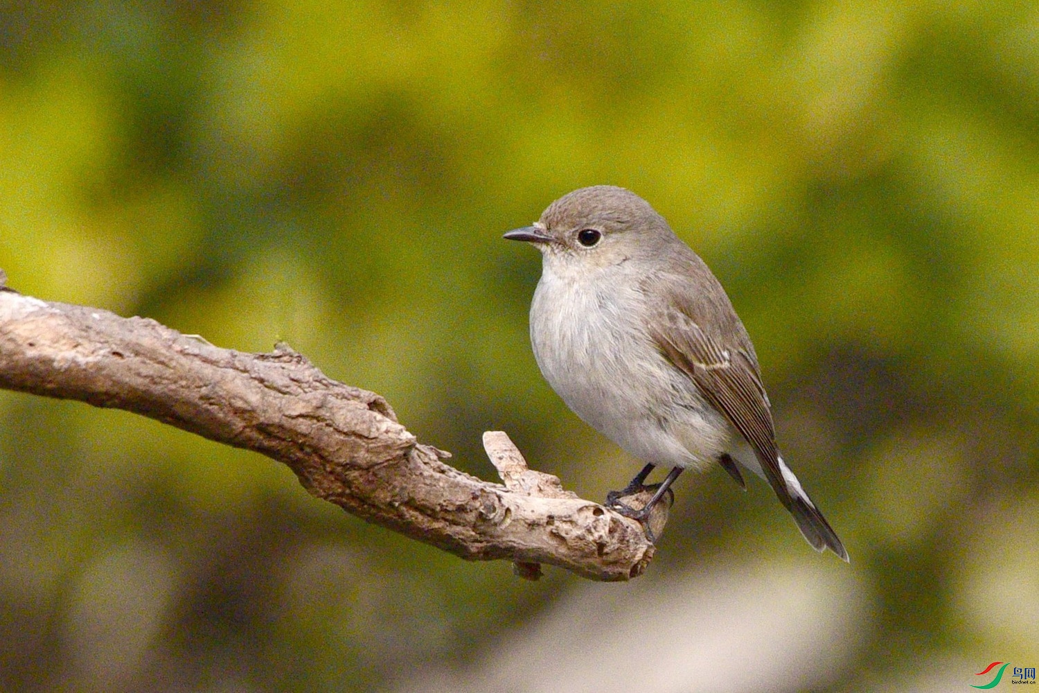 DSC_2654.JPG