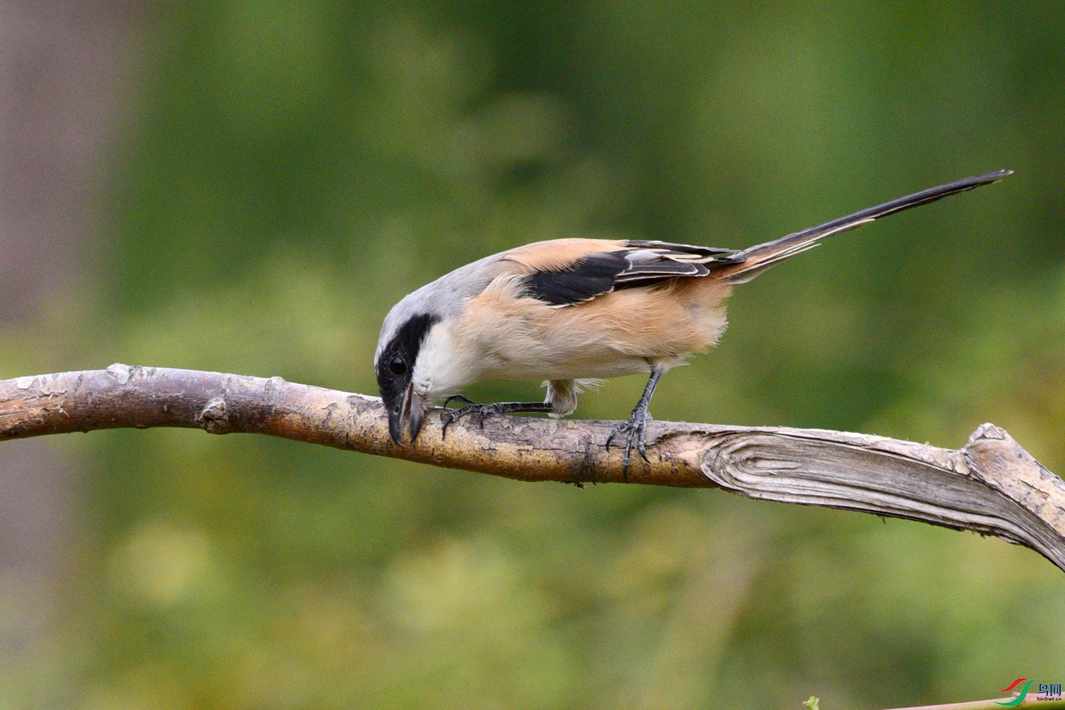 DSC_3853.JPG