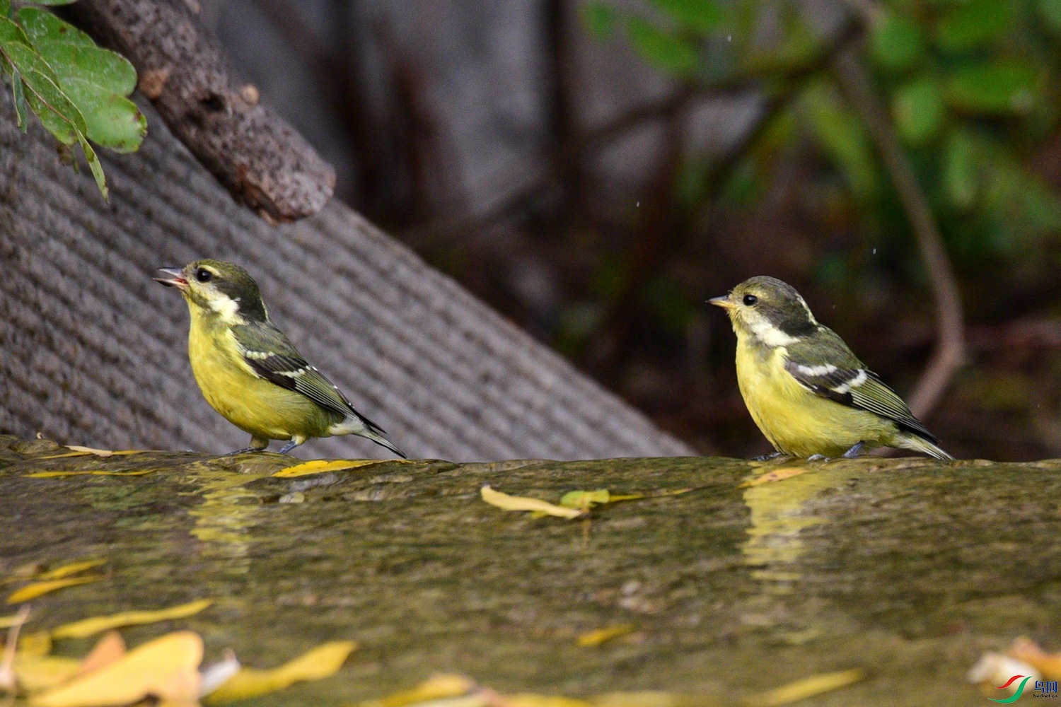 DSC_6497.JPG