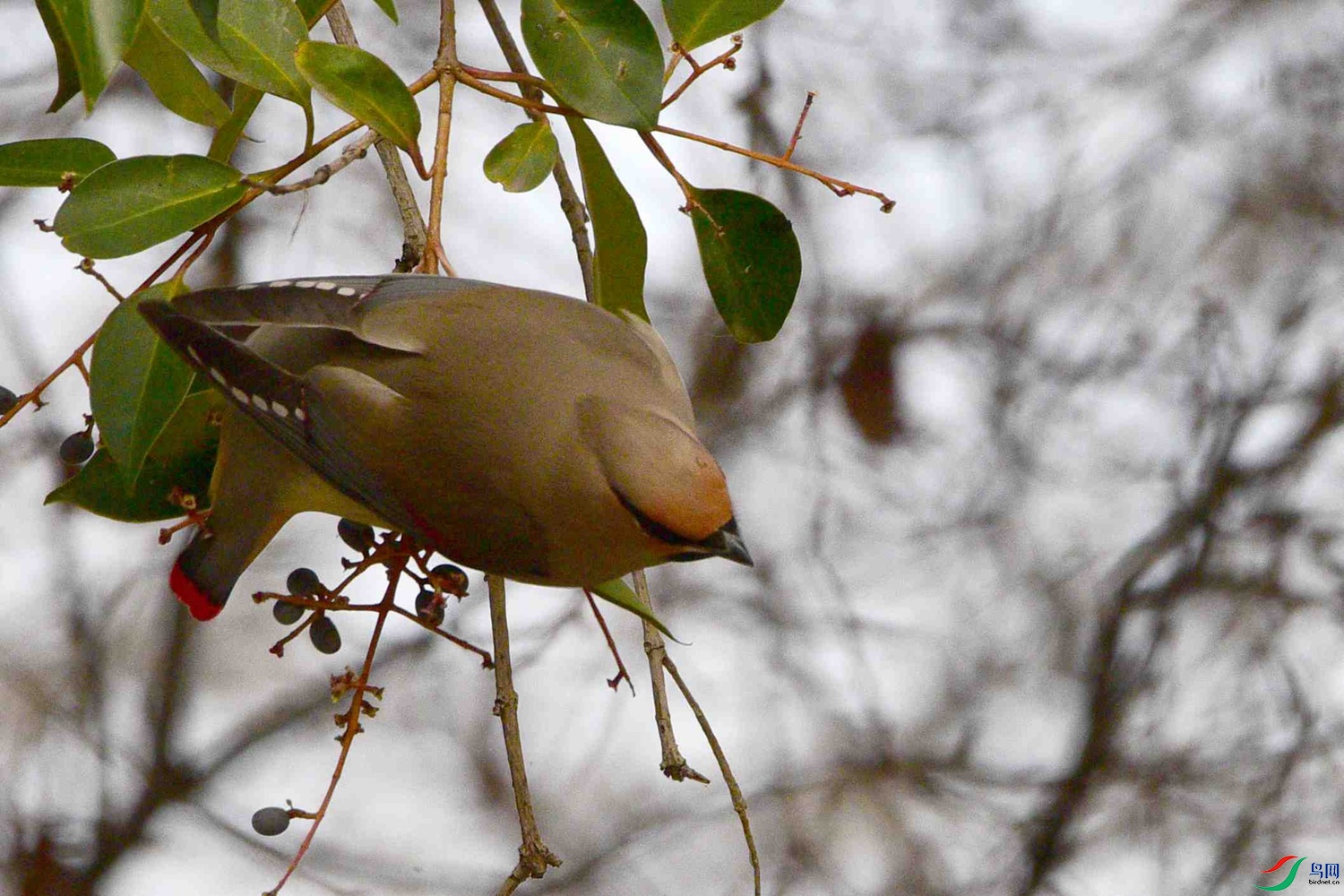DSC_7873.JPG