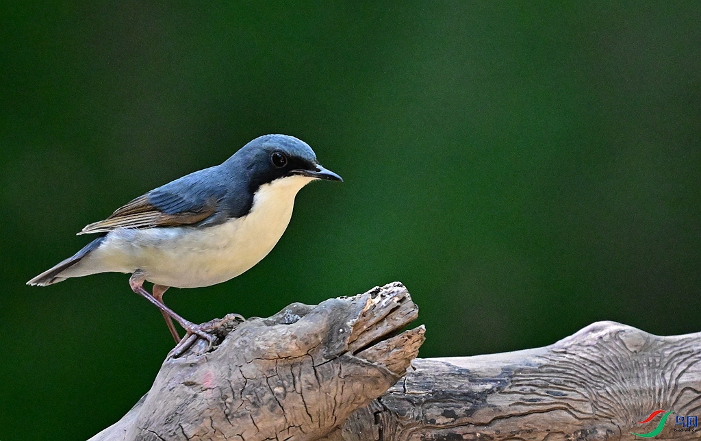 DSC_1052.JPG