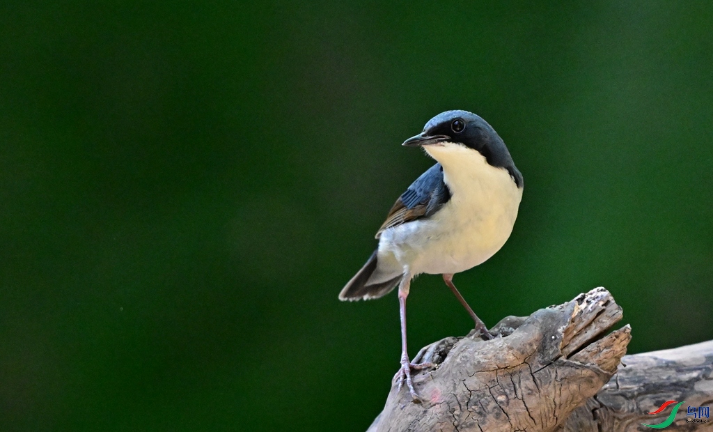 DSC_1103.JPG