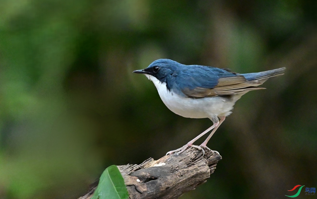 DSC_6410.JPG