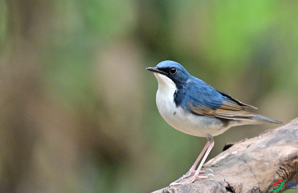 DSC_6573.JPG