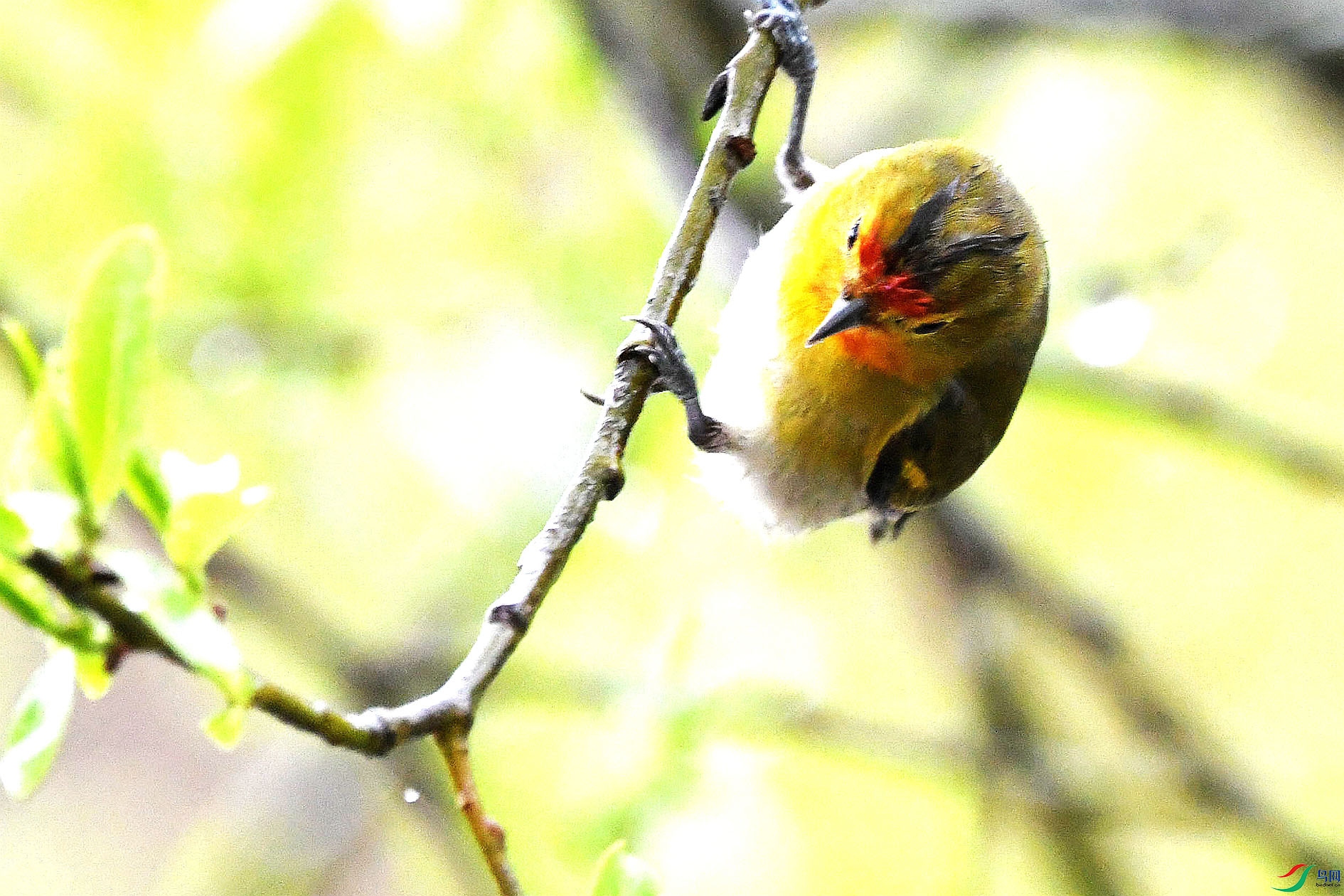 DSC_5583_����.jpg