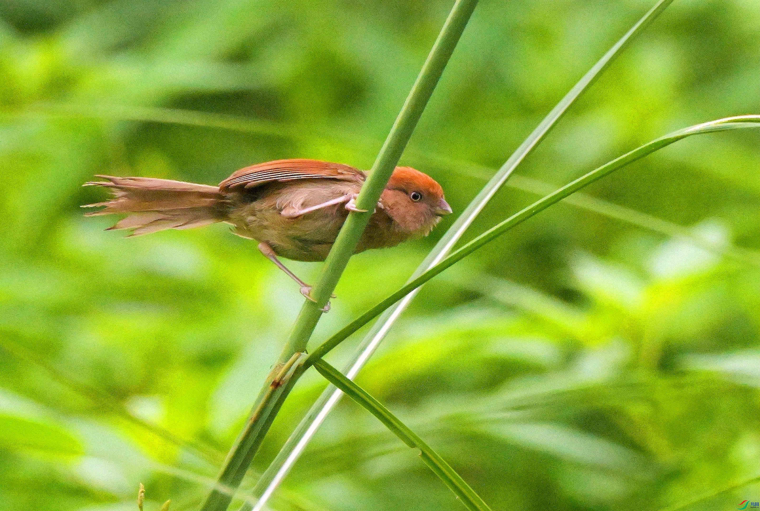 DSC_4904.jpg