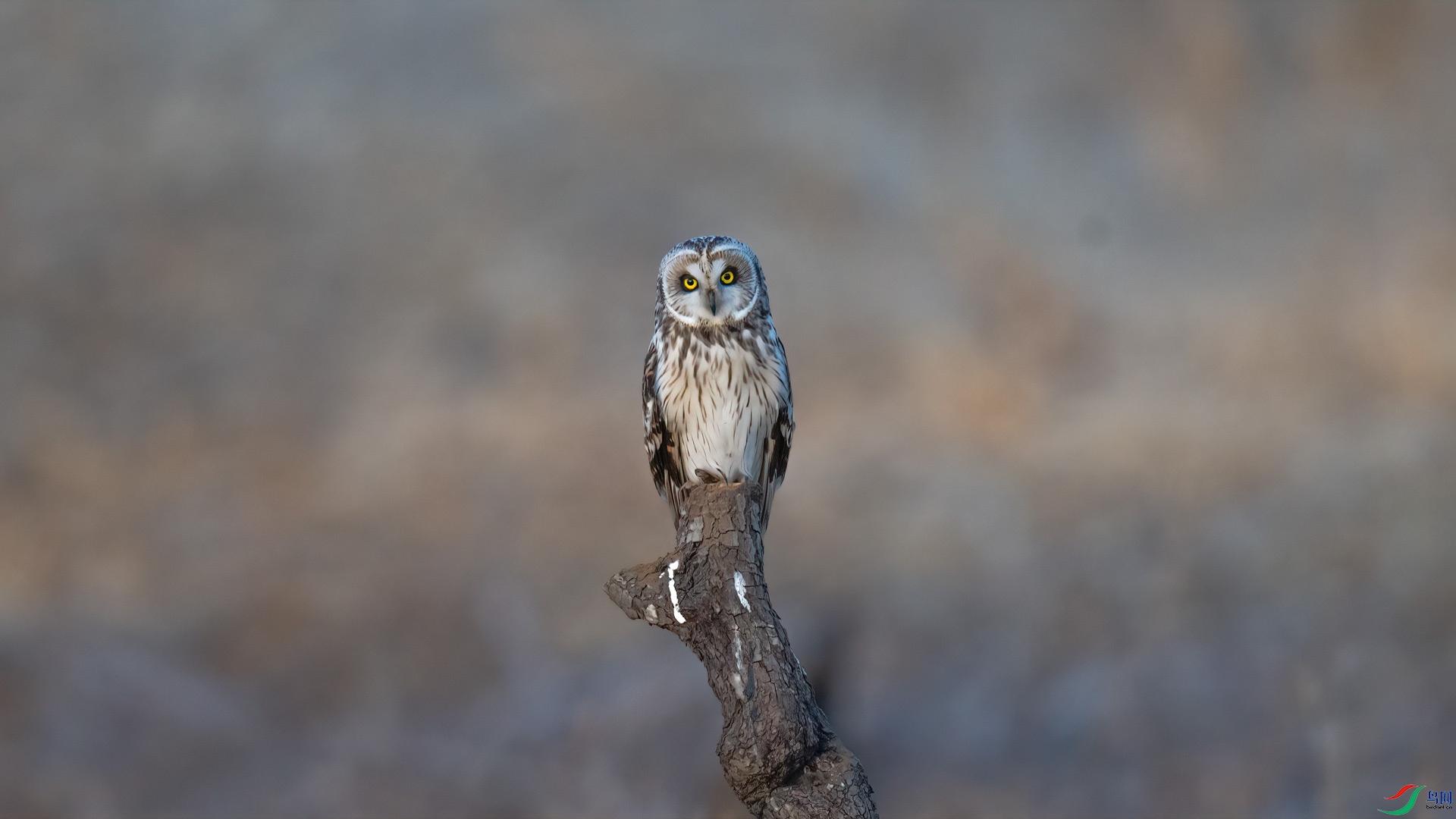 _DSC9191-1x1.jpg