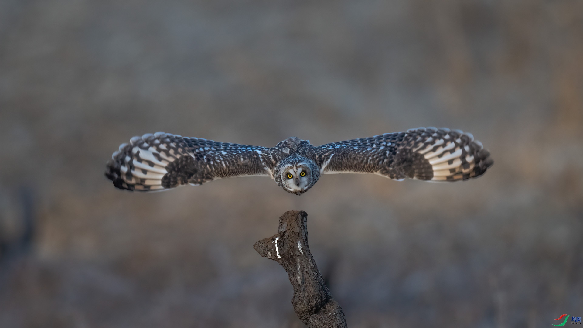 _DSC9213-1x2.jpg