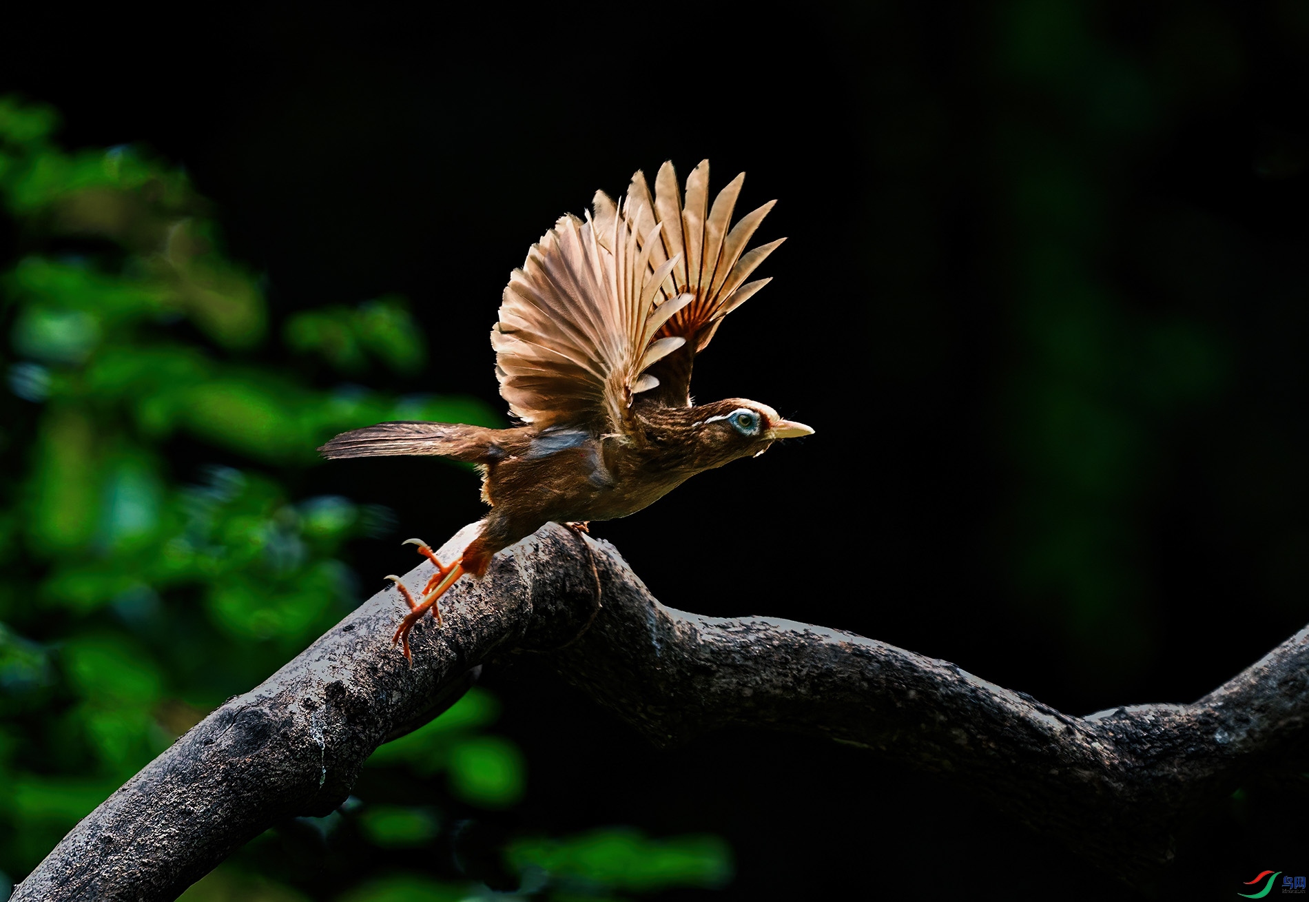 DSC_4116.jpg