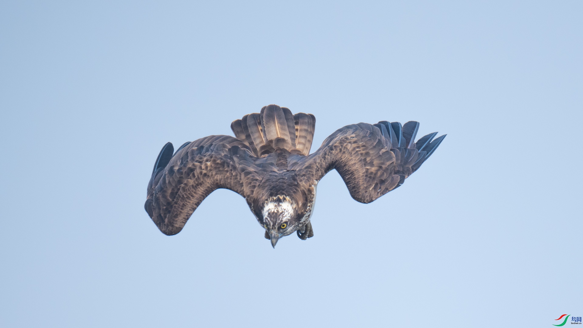 _DSC8147-1x2.jpg