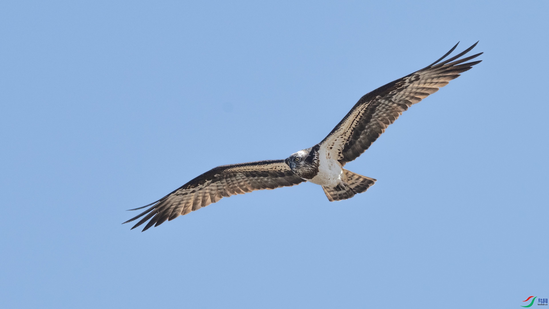 _DSC2345x3.jpg