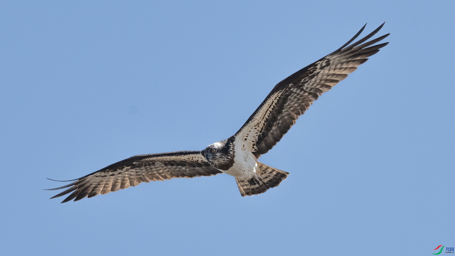 _DSC2344-1x5.jpg