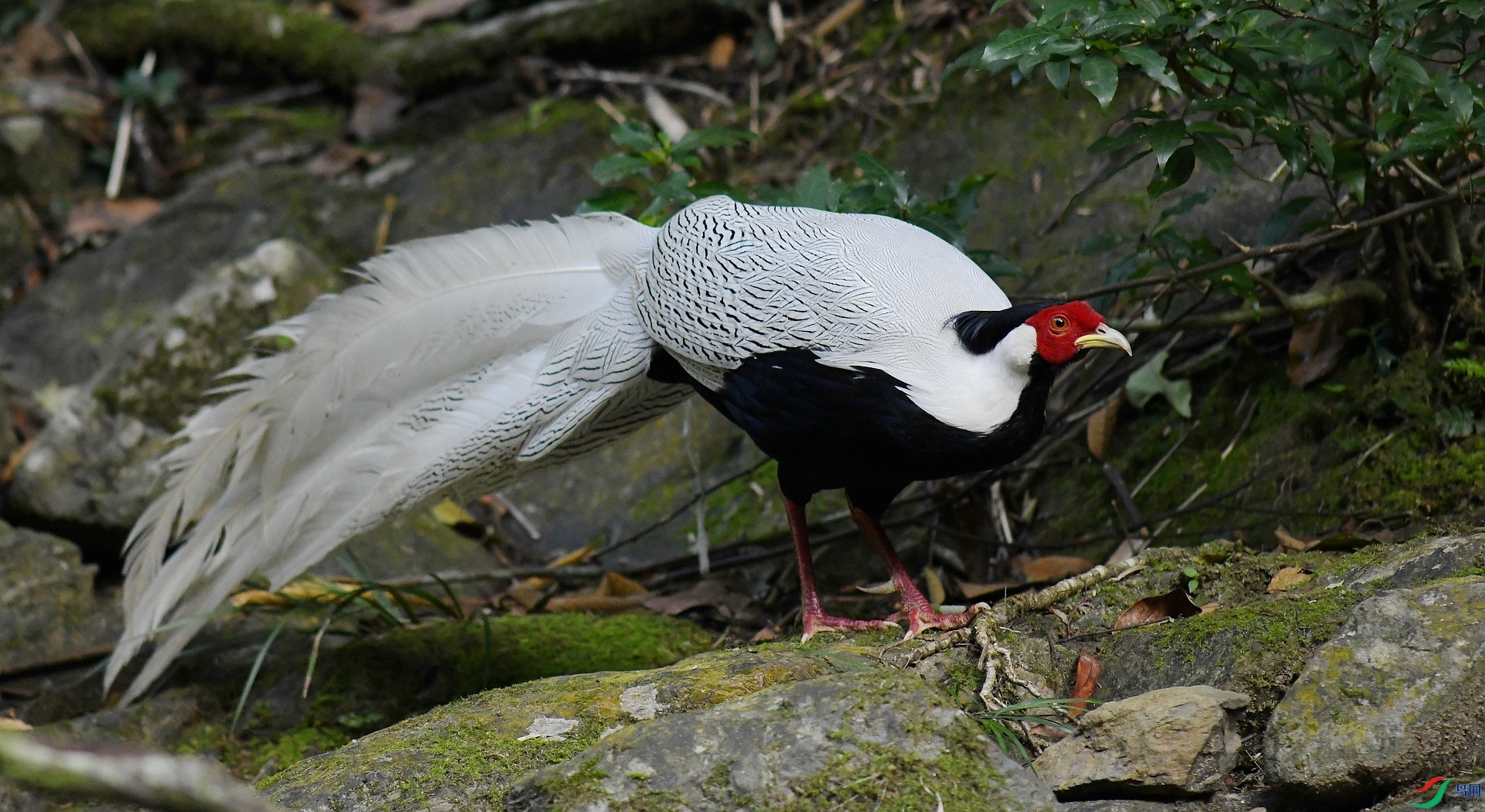 DSC_6877.jpg