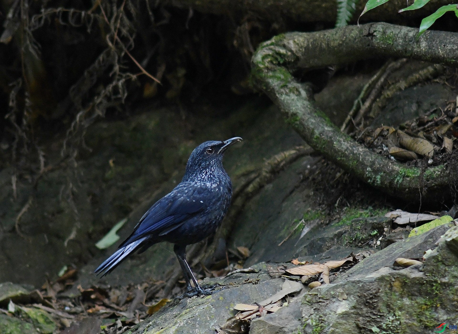 DSC_6846.jpg