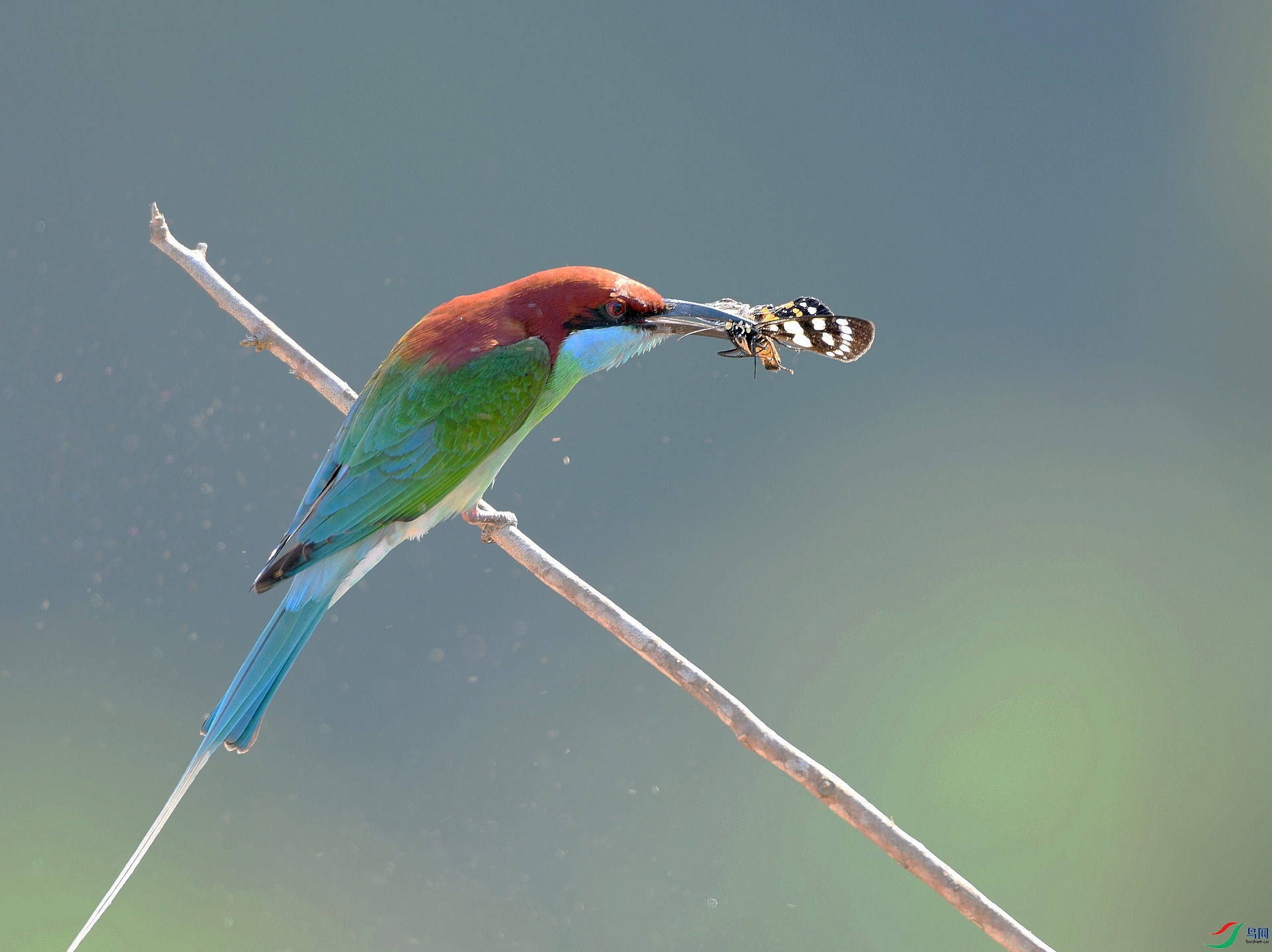 DSC_3959.jpg