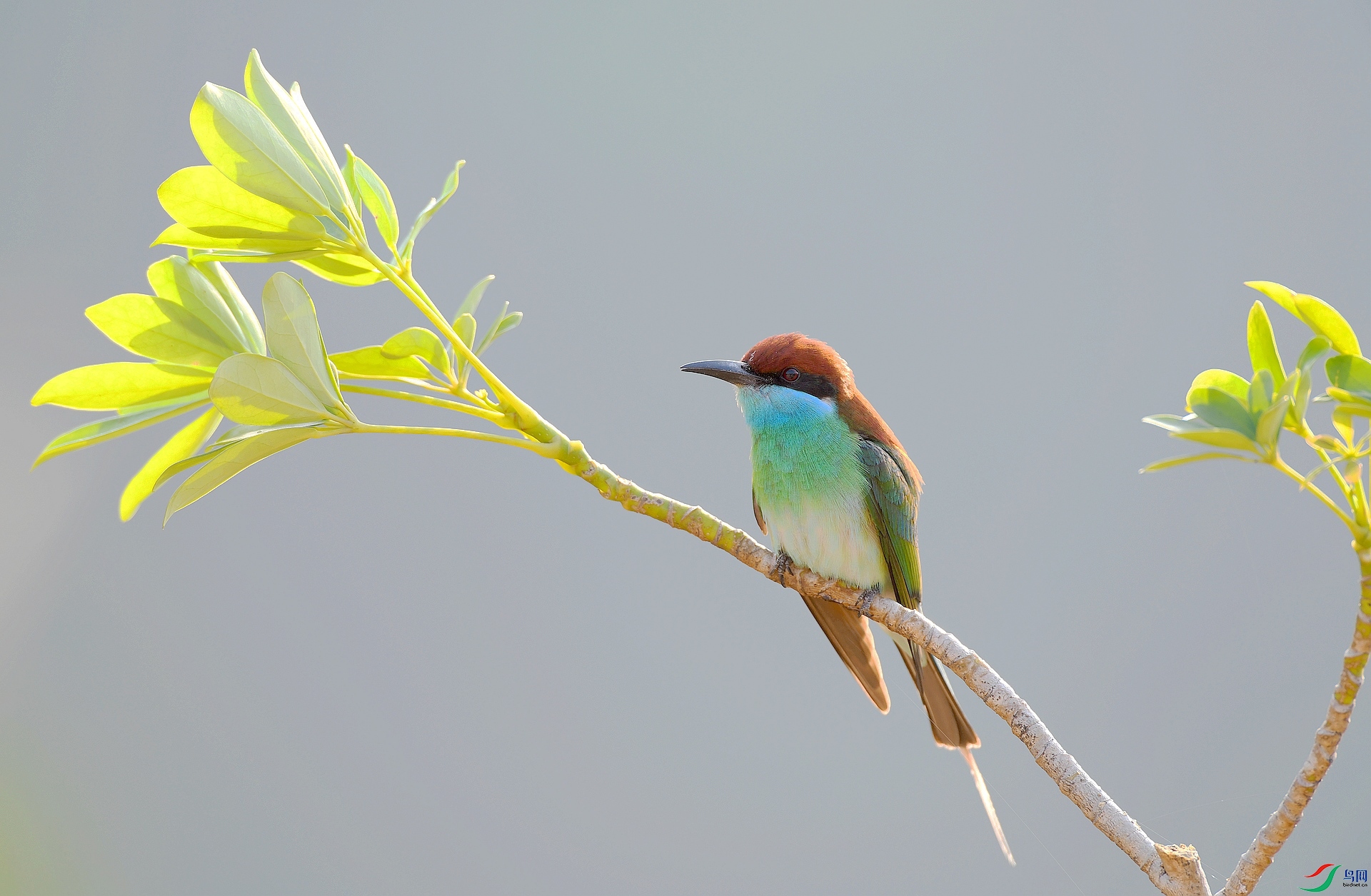DSC_5048.jpg