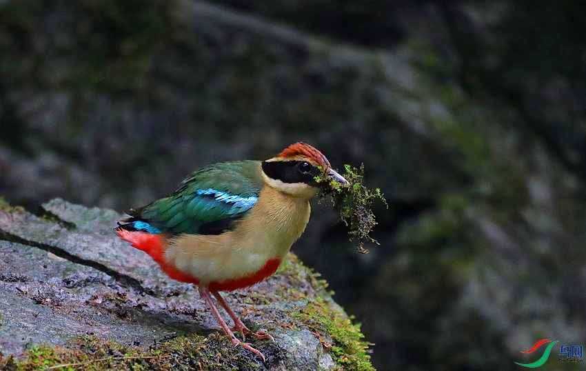 A81I3801_����.jpg