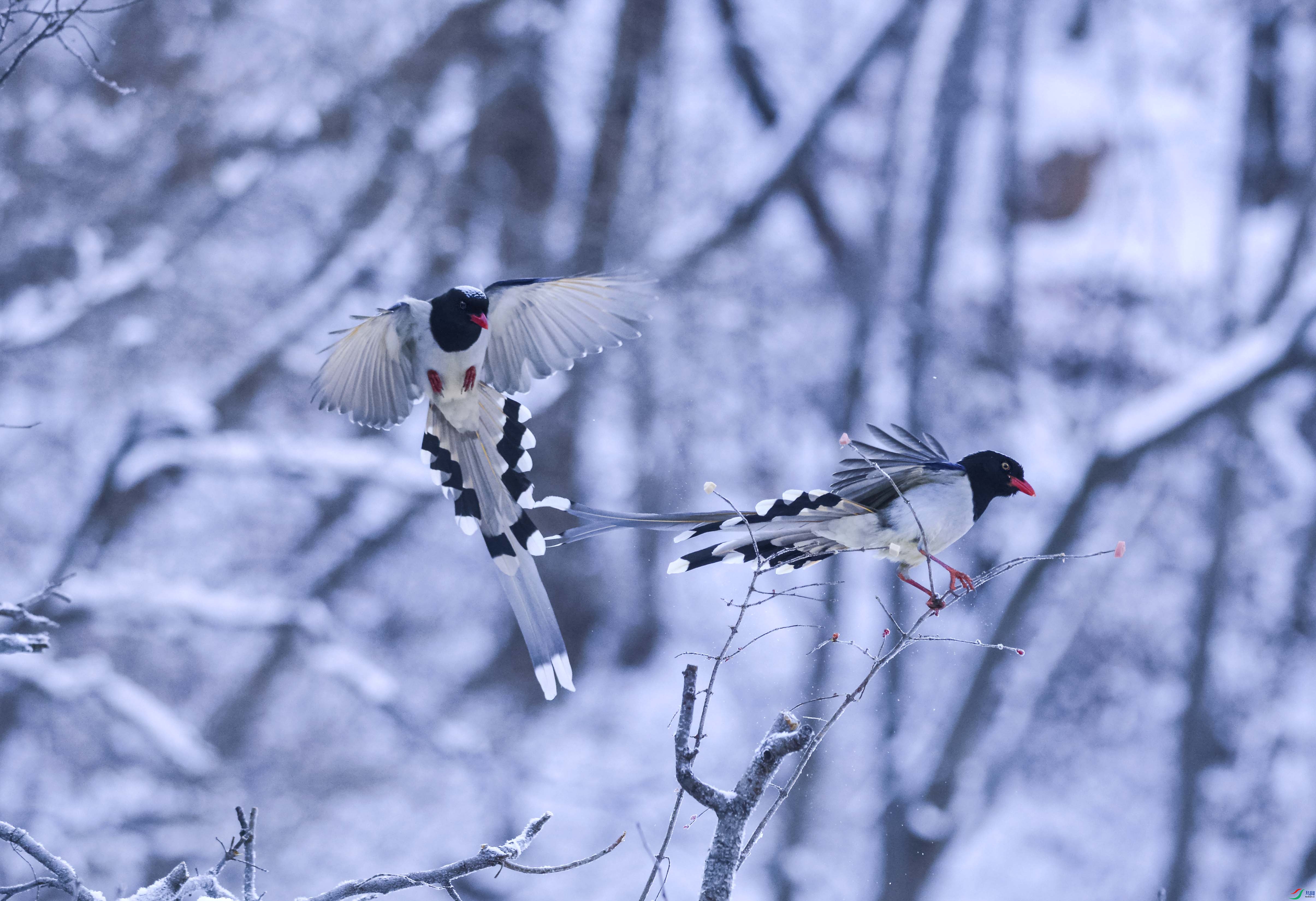 DSC_3669.jpg