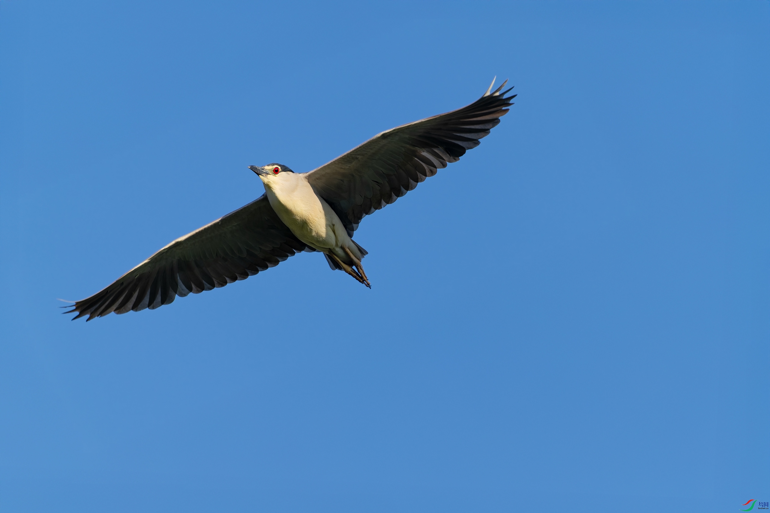DSC01339_1.jpg