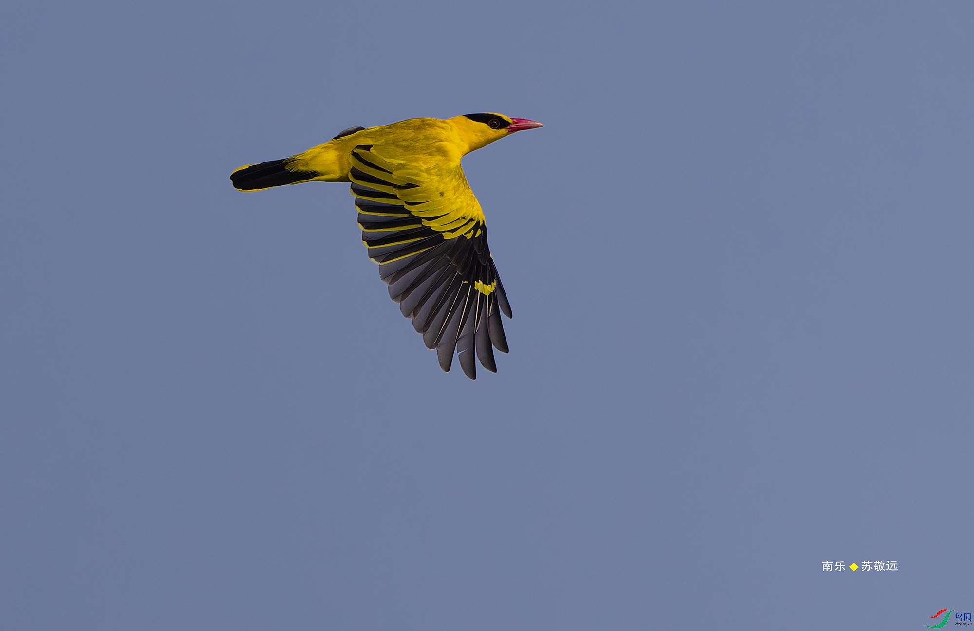 _DSC7258-NEF_DxO_С.jpg