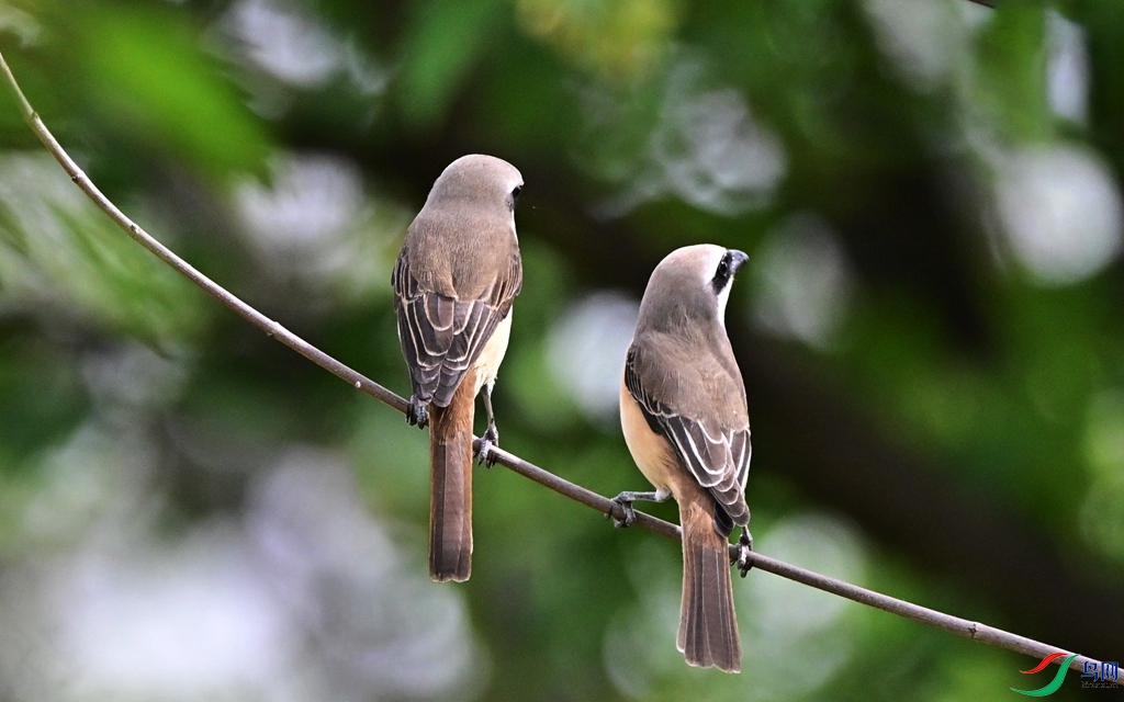 DSC_7847.JPG