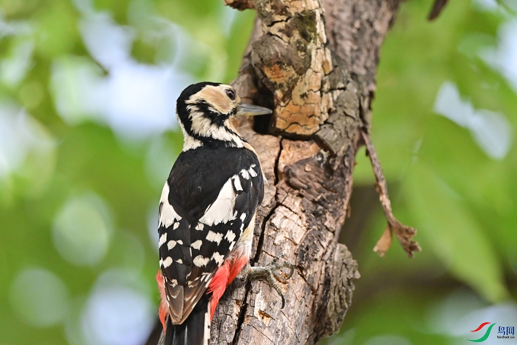 DSC_7364.JPG