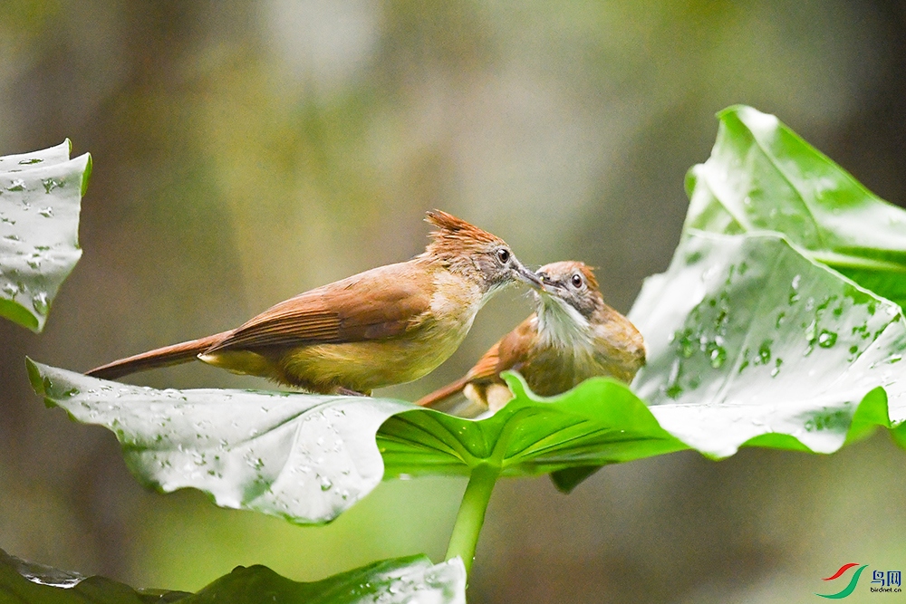 DSC_8570a---1000.jpg