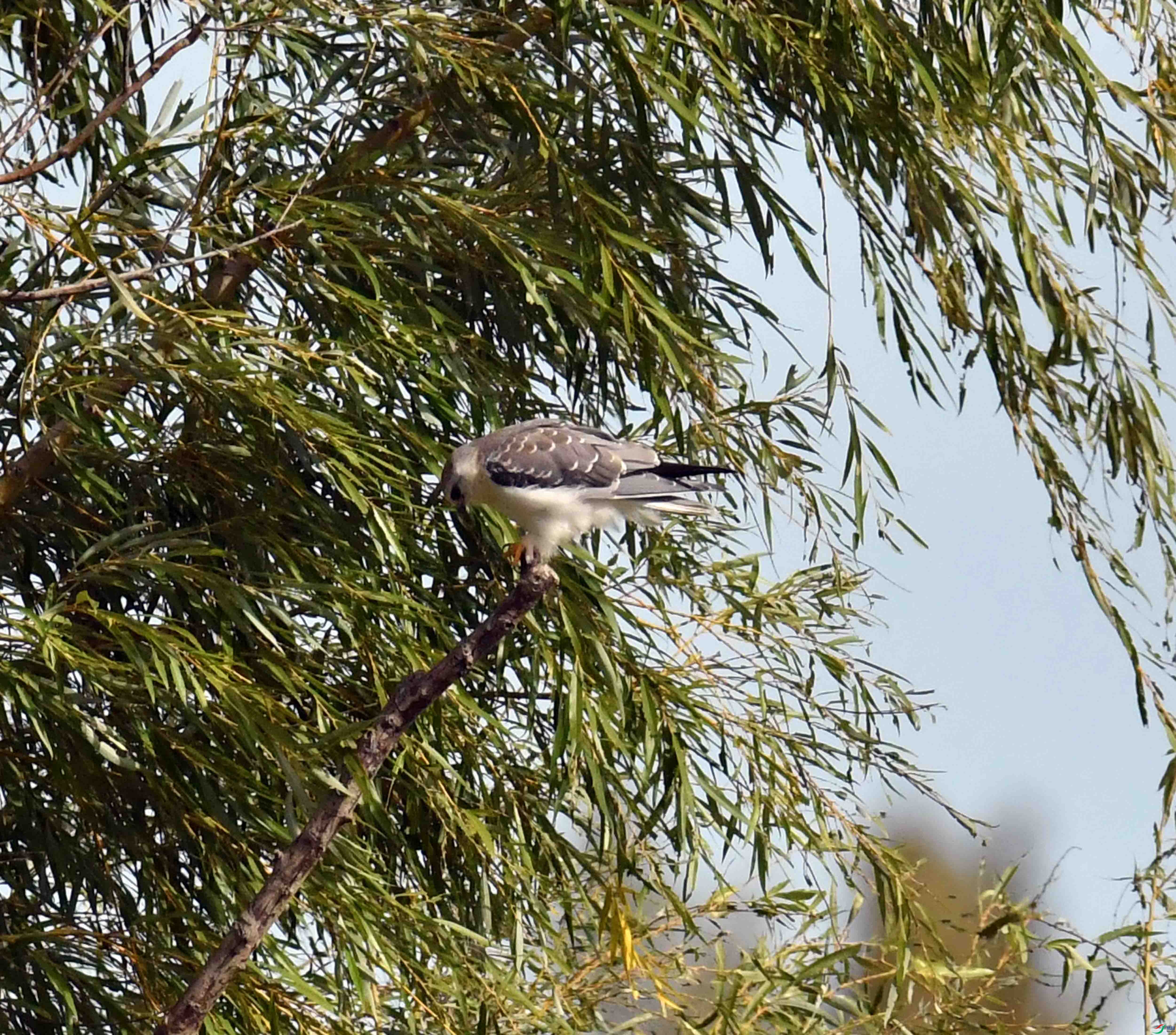 DSC_0840.JPG