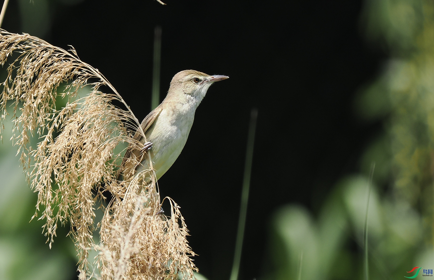 250515����������1500-P5150459 ����.jpg