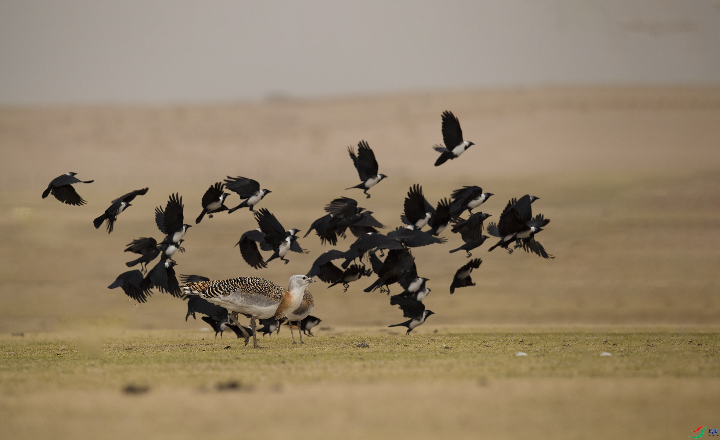 DSC_0353 ����2.jpg