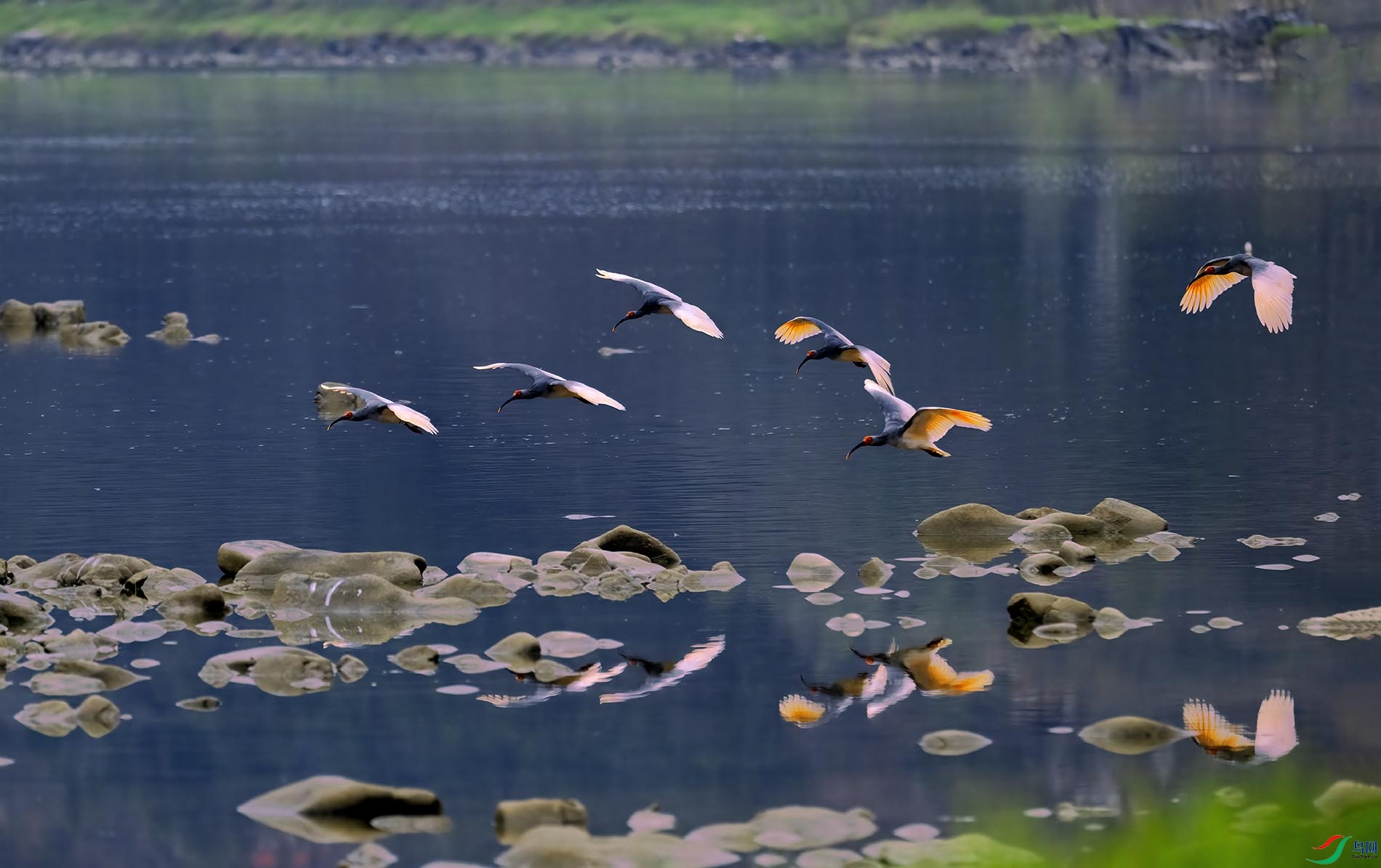 ˮ���ϵľ���