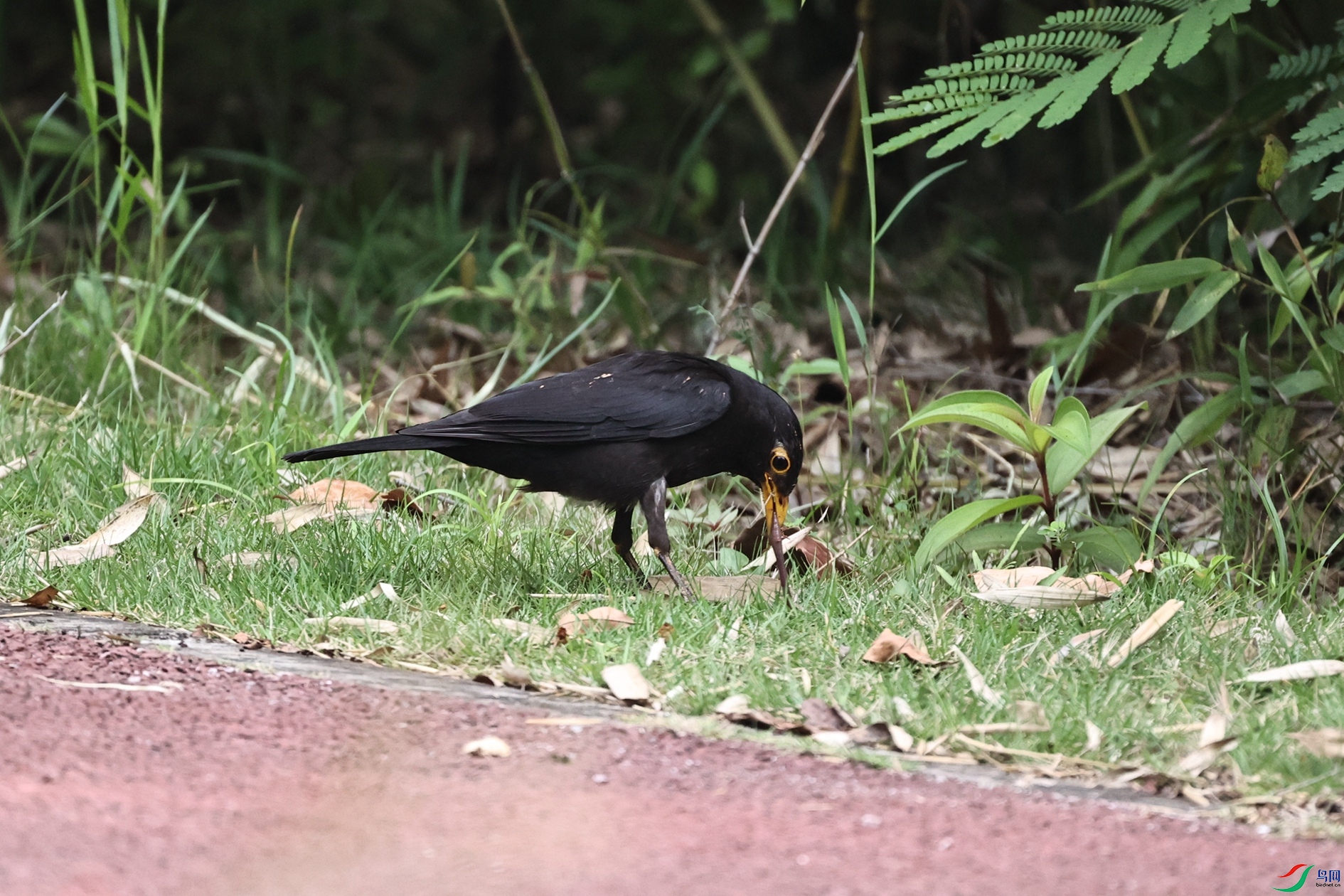 H25B1377_����.jpg