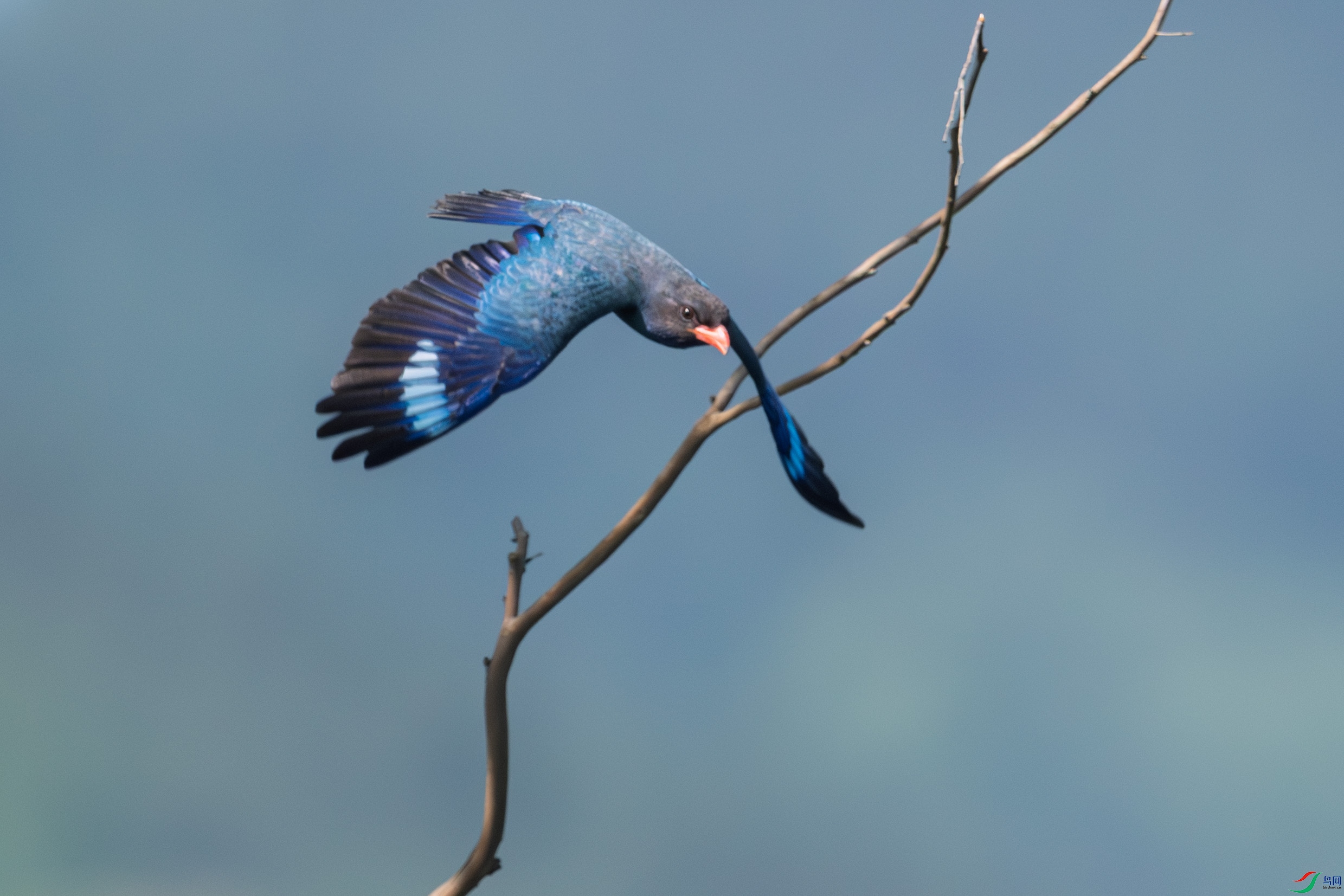 DSC_7138_1.JPG