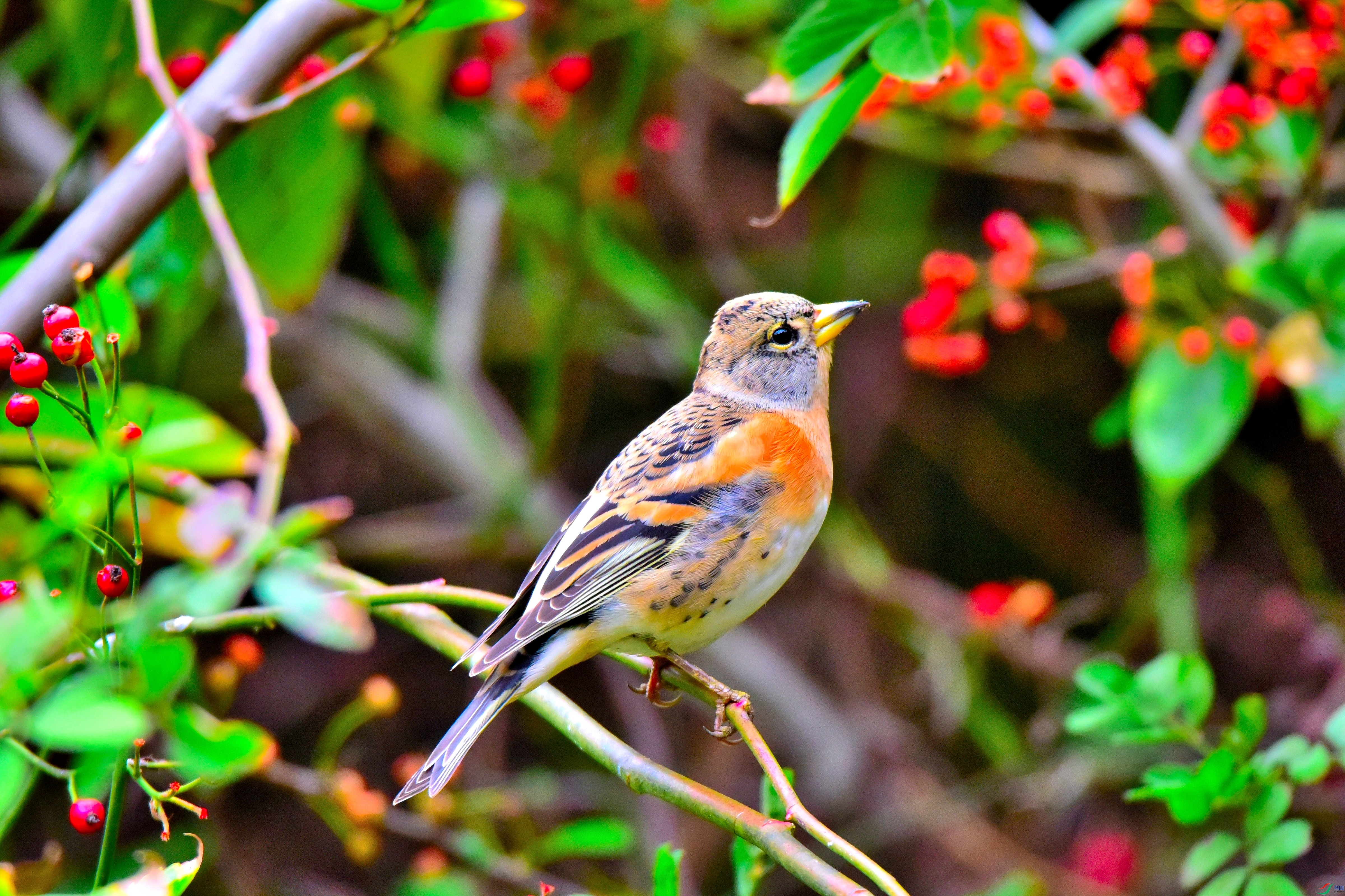 DSC_5430.JPG