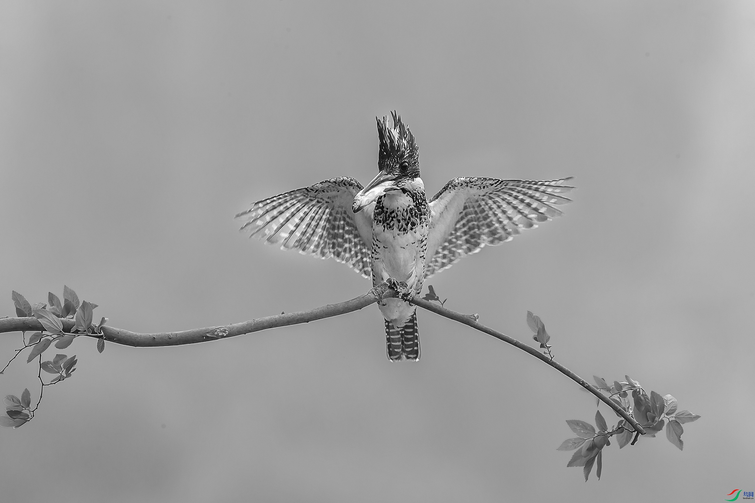 C09R9008 ����.jpg