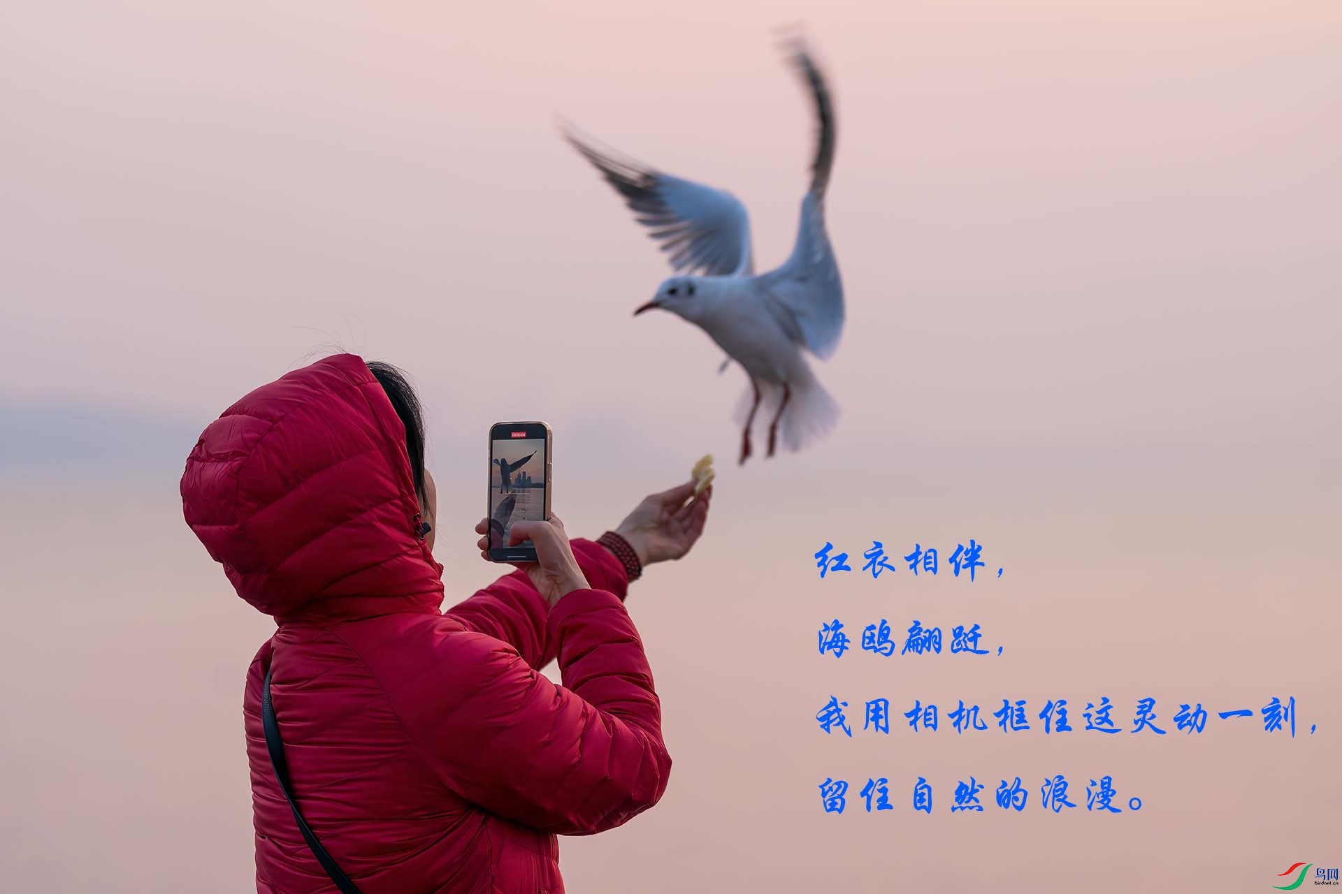 DSC03291A.jpg