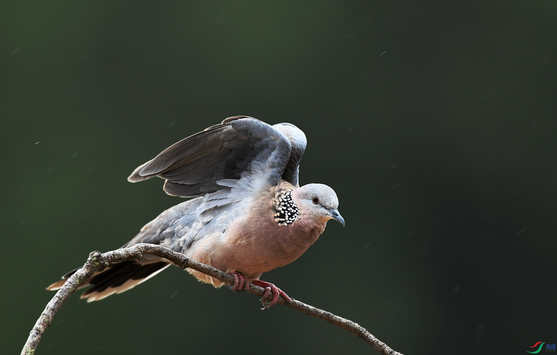 DSC_7049.jpg