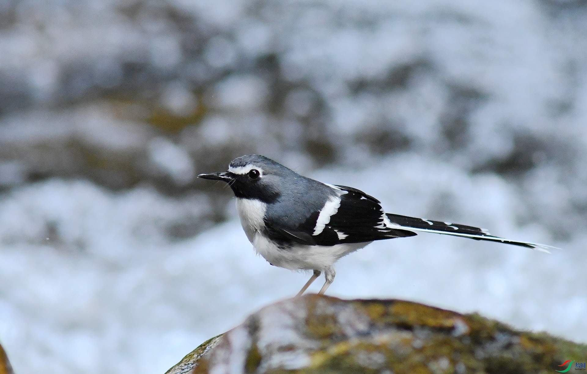 DSC_6805.jpg