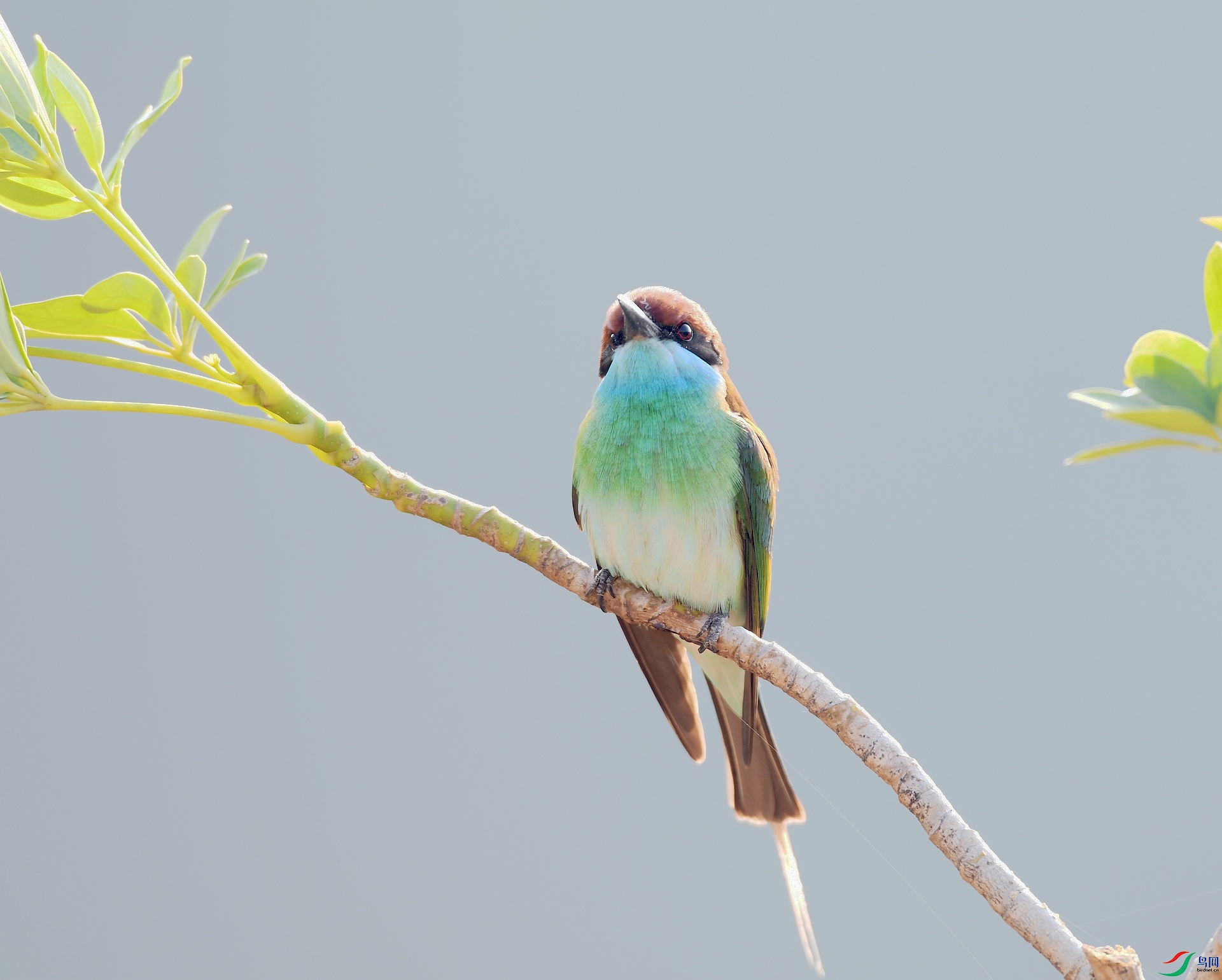 DSC_5041.jpg