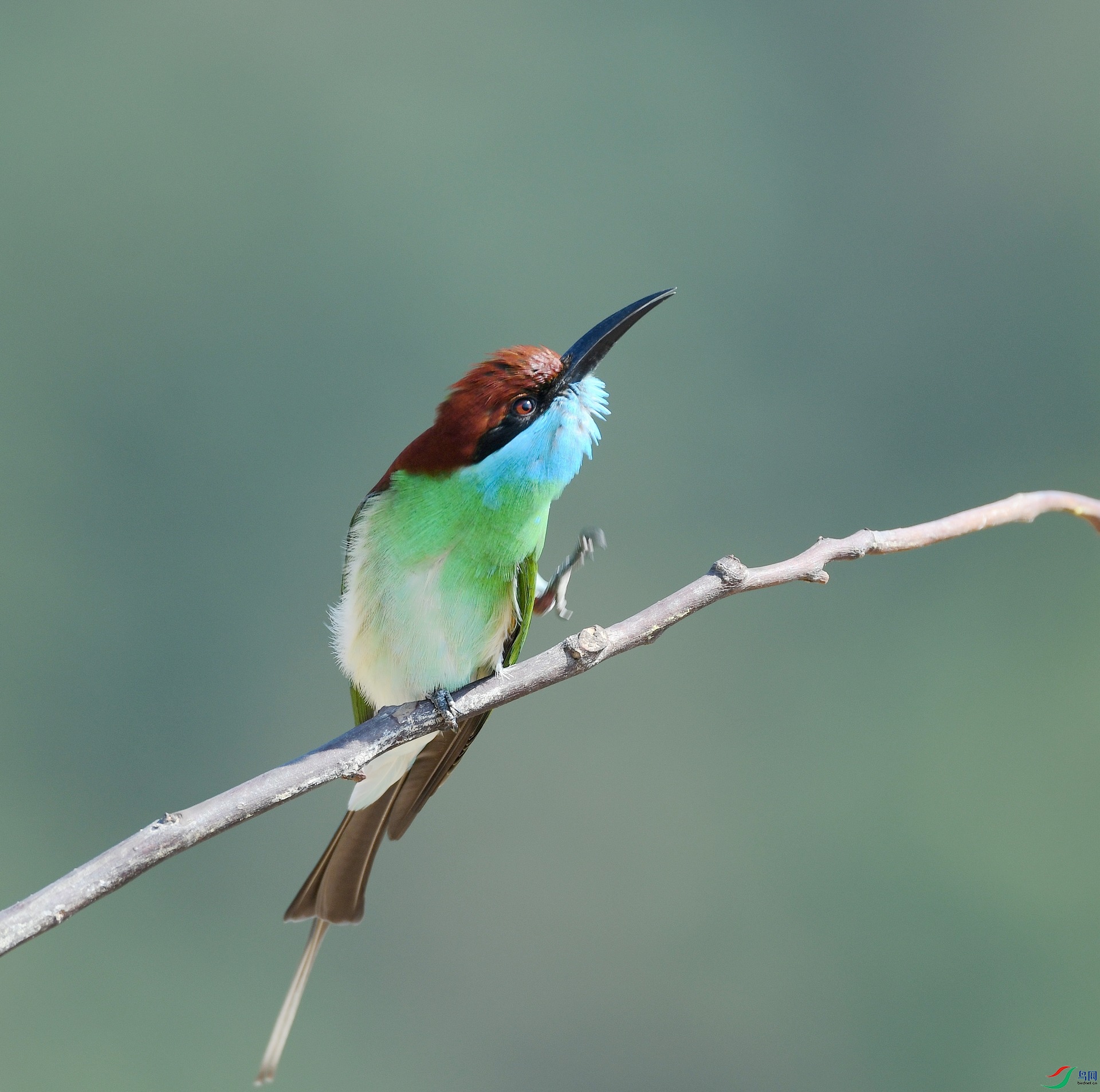 DSC_1452.jpg