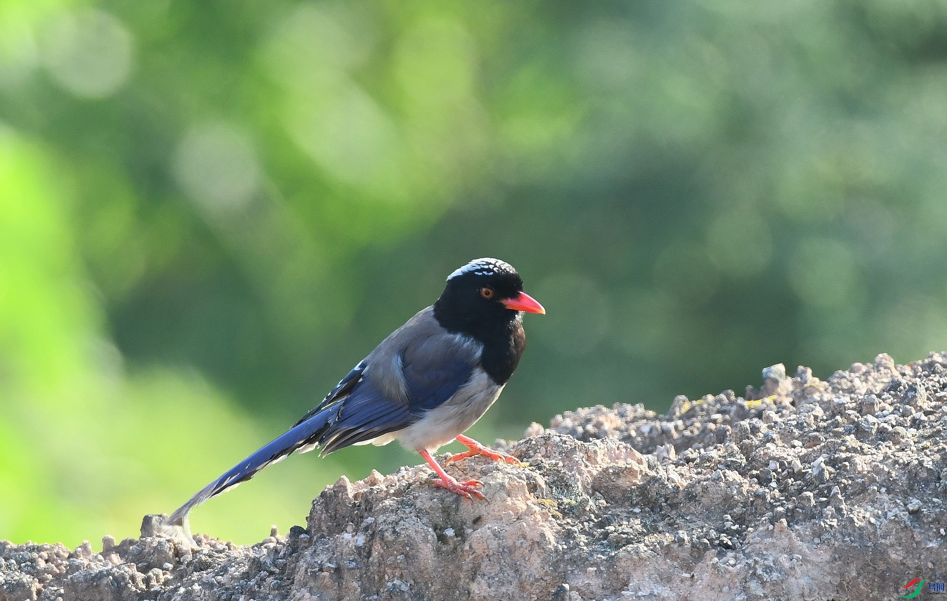 DSC_3168.jpg