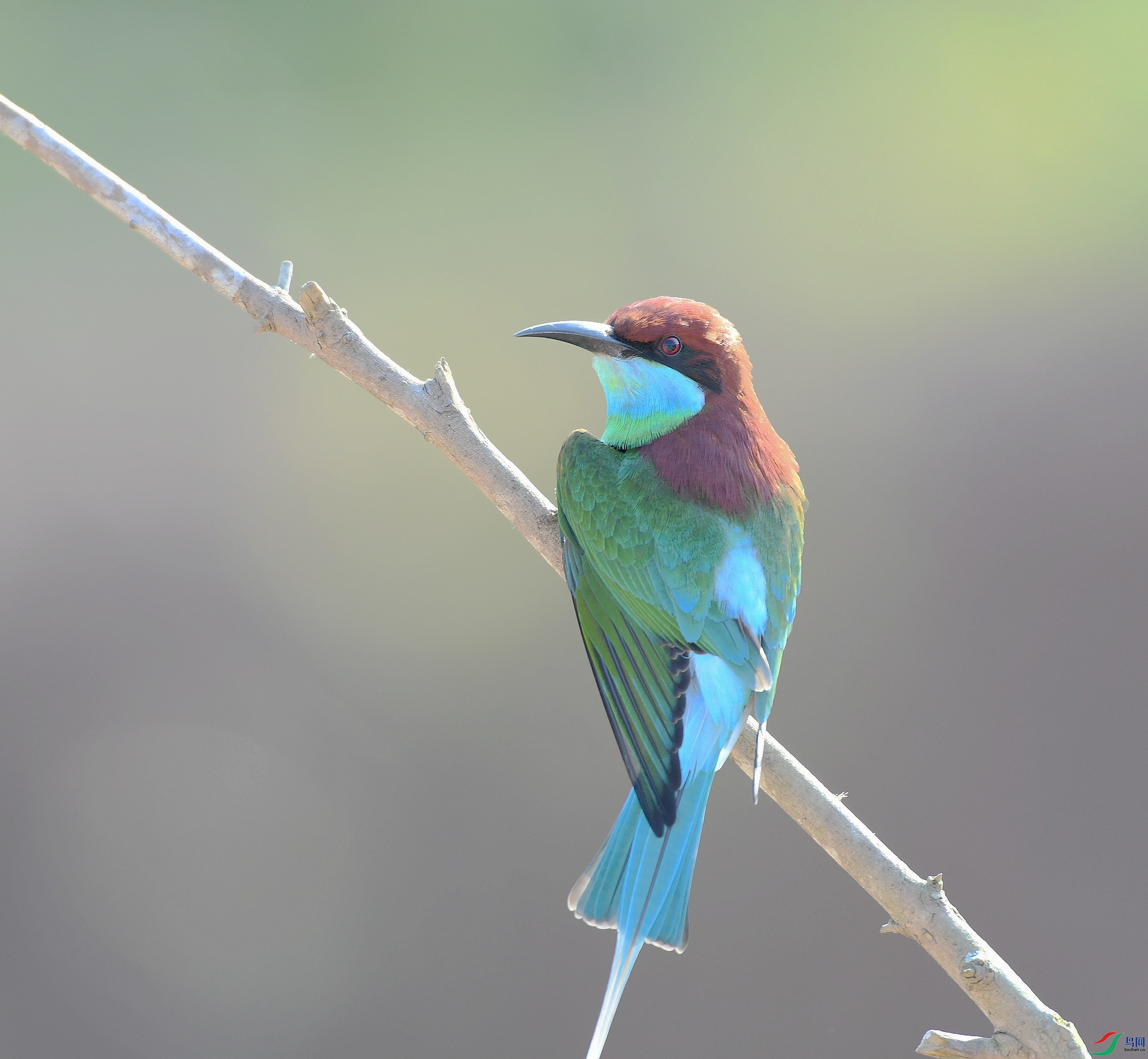 DSC_3683.jpg