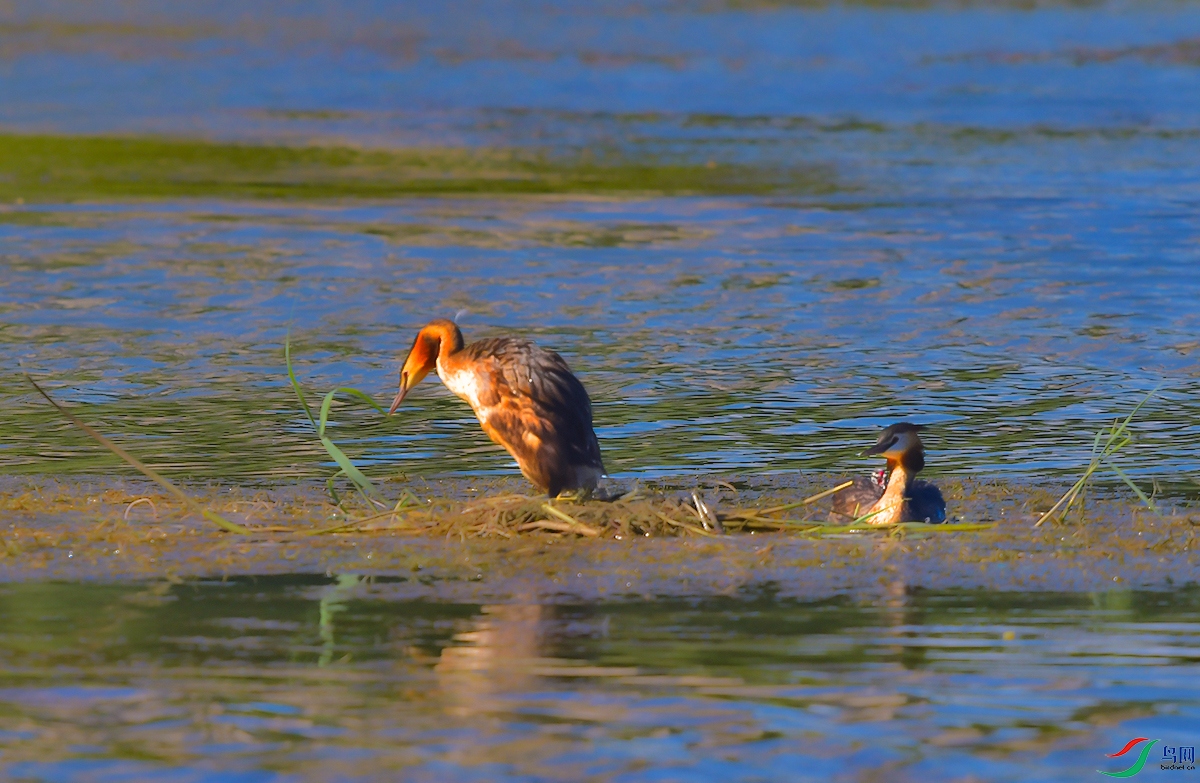 DSC_4784.JPG