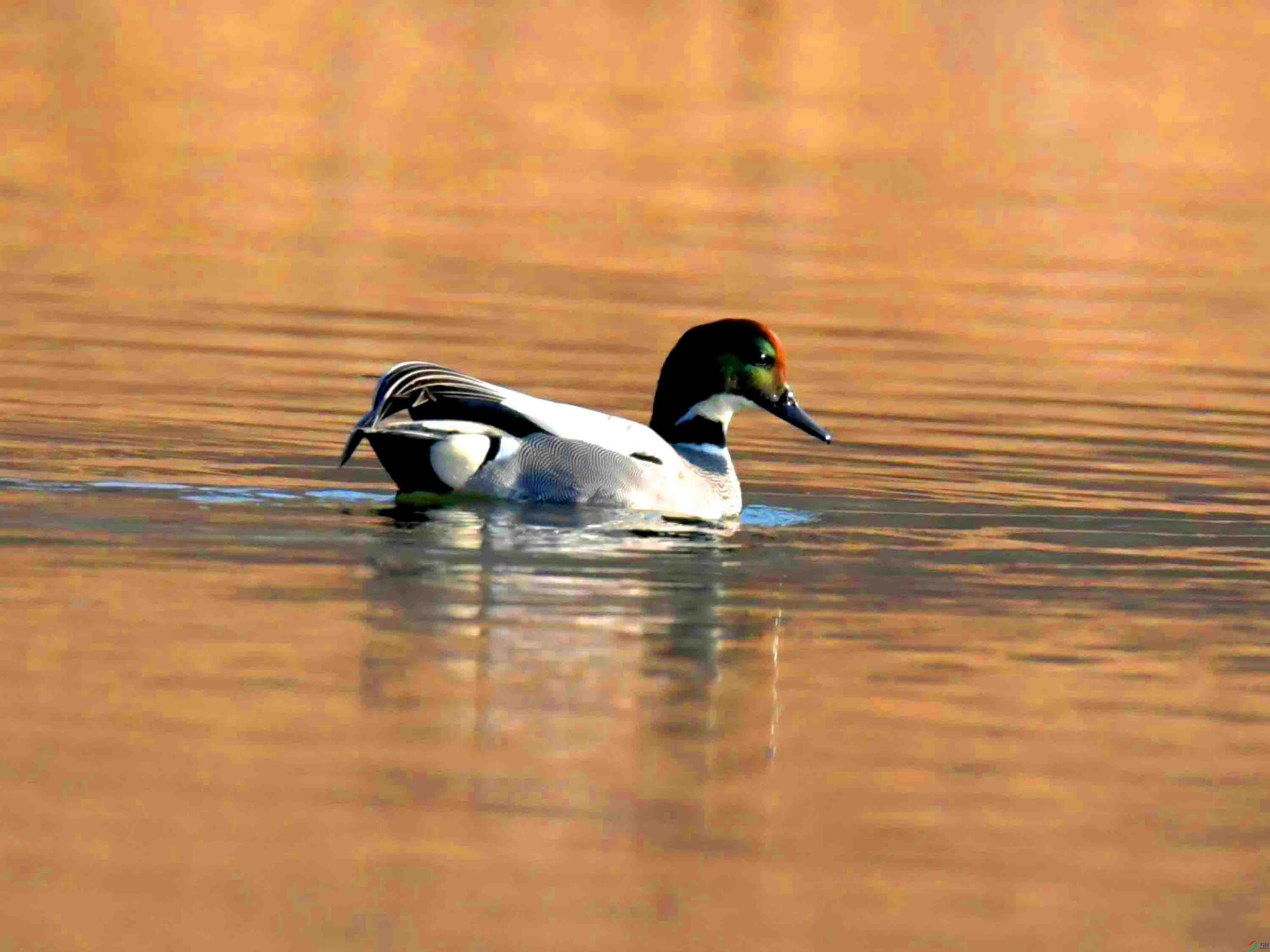 DSC_3941.JPG