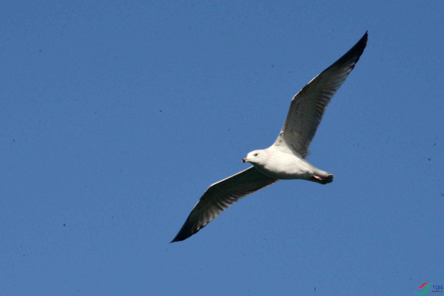 DSC_9714.JPG