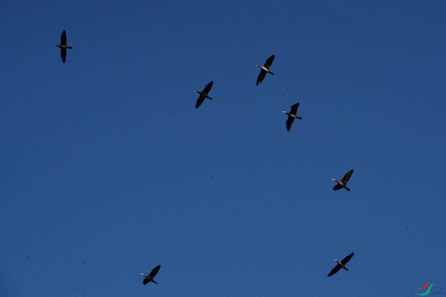 DSC_0175.JPG