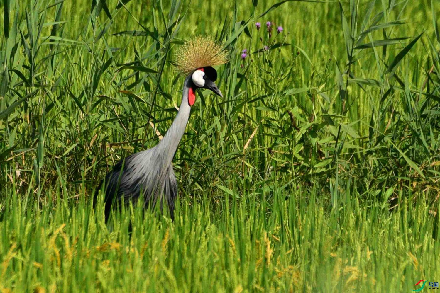DSC_5407.JPG