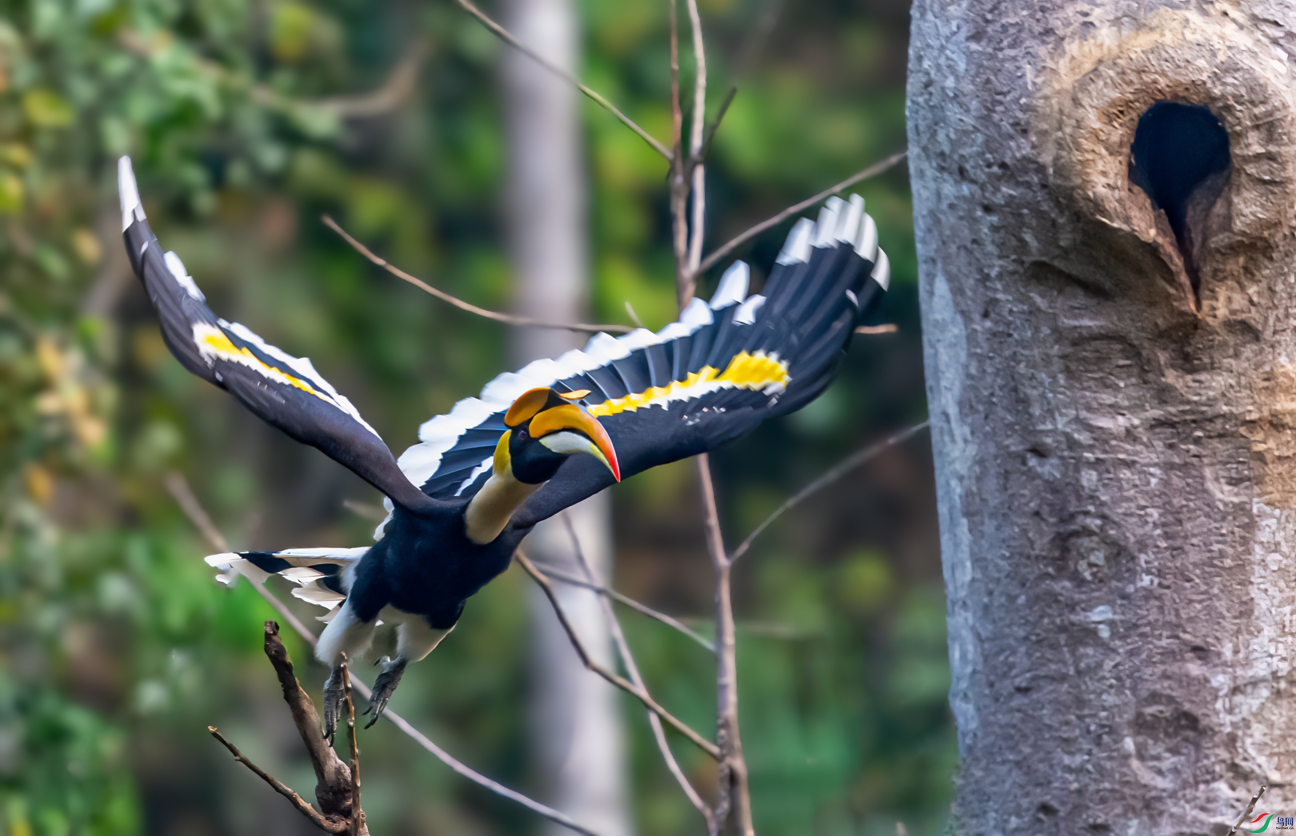 _DSC6367-1.jpg