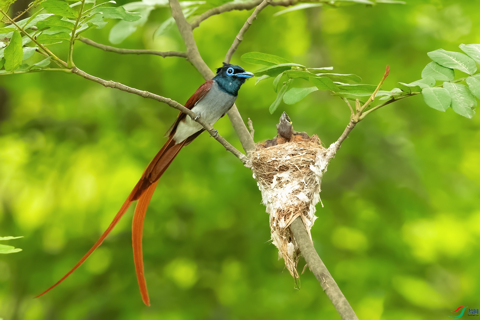 DSC_5550_DxOa.jpg
